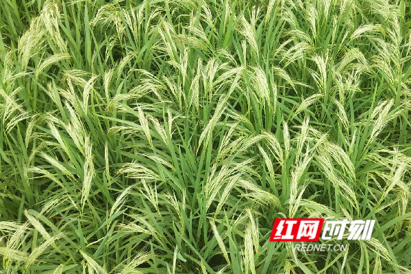 23_副本.jpg